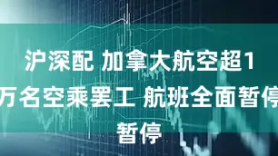 沪深配 加拿大航空超1万名空乘罢工 航班全面暂停
