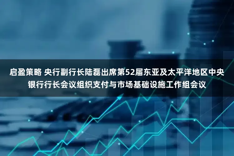 启盈策略 央行副行长陆磊出席第52届东亚及太平洋地区中央银行行长会议组织支付与市场基础设施工作组会议